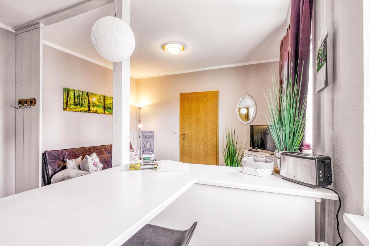 Ferienwohnung Ziesing Friedrichsbrunn Thale Zewnętrze zdjęcie